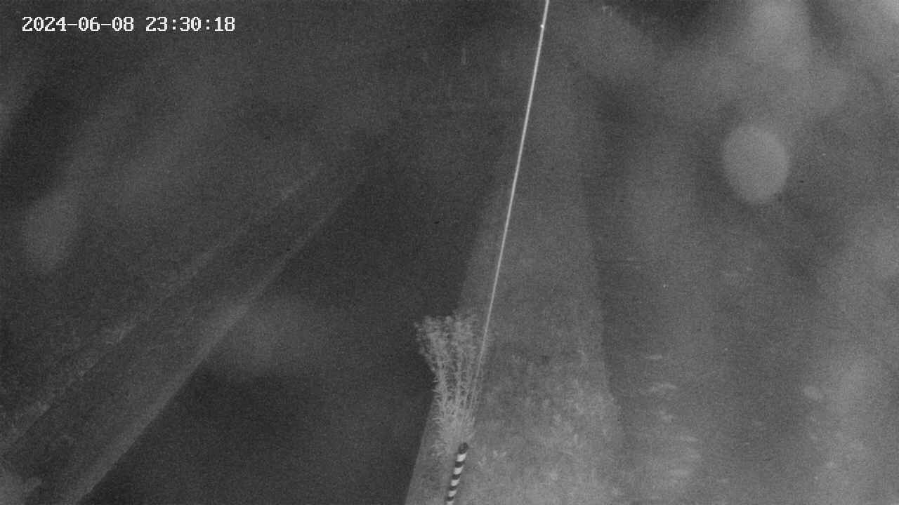 area9-20240608233018.jpg