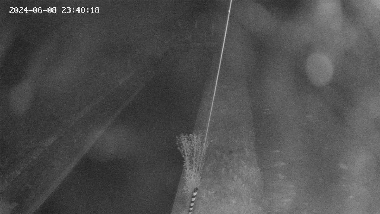 area9-20240608234019.jpg