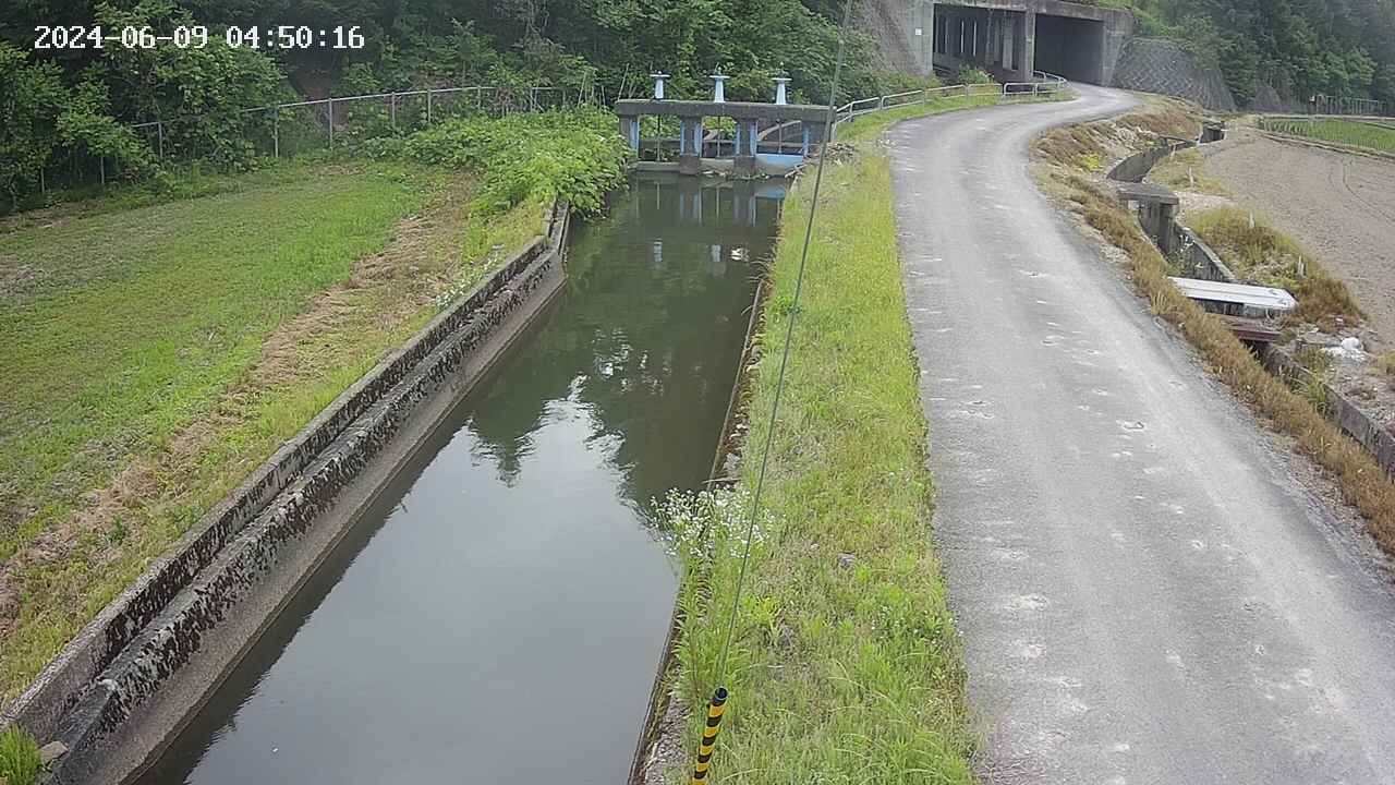 area9-20240609045017.jpg