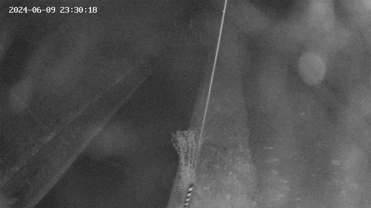 area9-20240609233018.jpg
