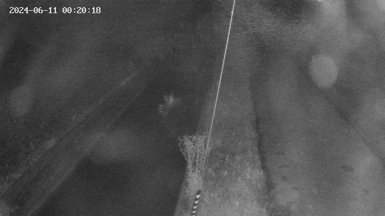 area9-20240611002019.jpg