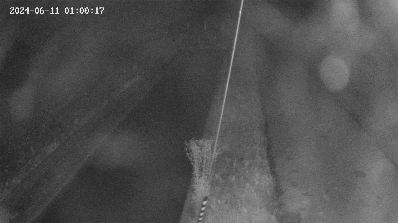 area9-20240611010017.jpg