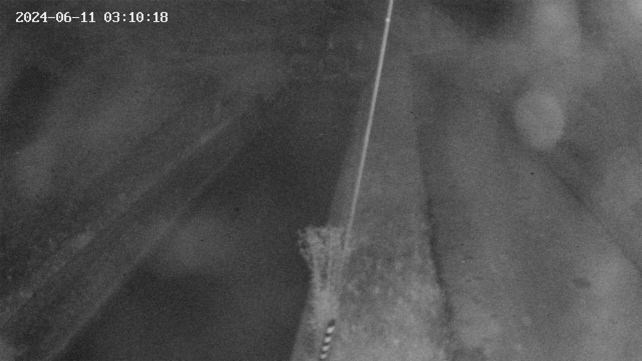 area9-20240611031019.jpg
