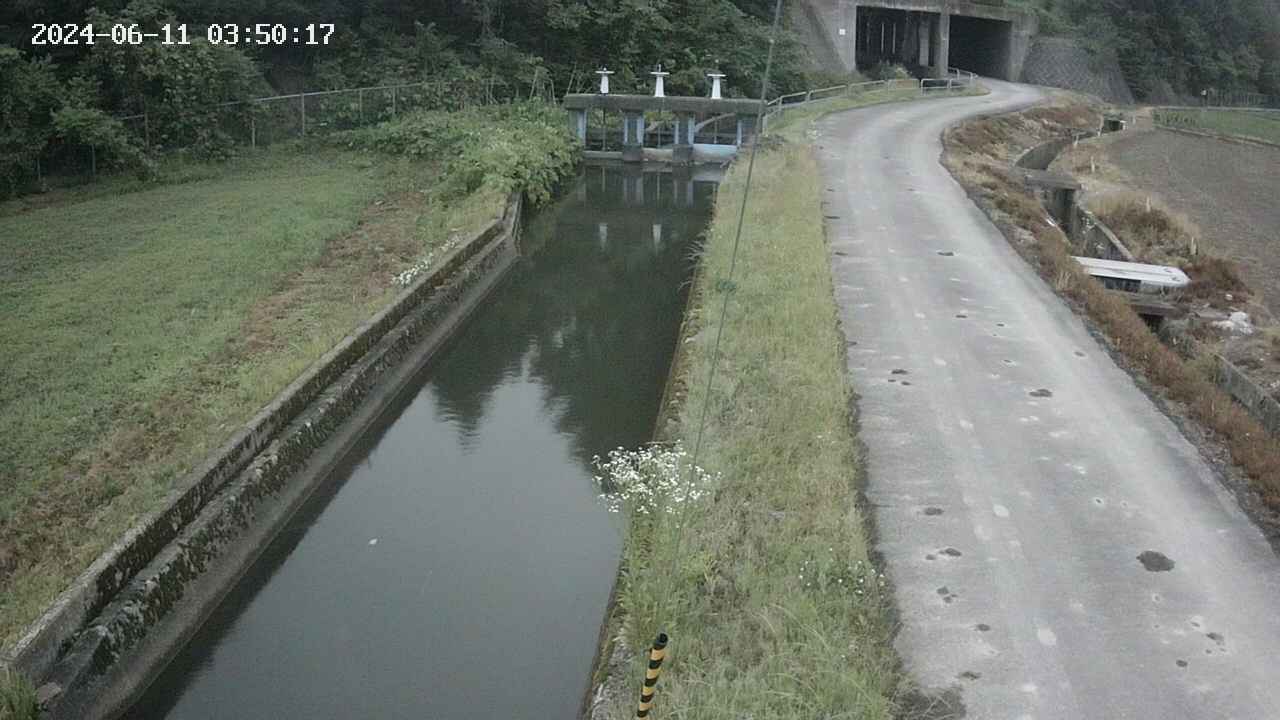 area9-20240611035018.jpg