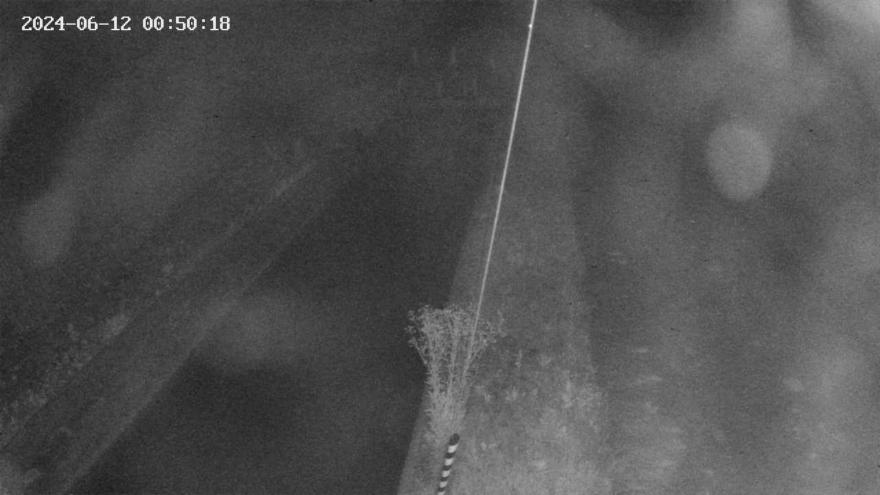 area9-20240612005018.jpg