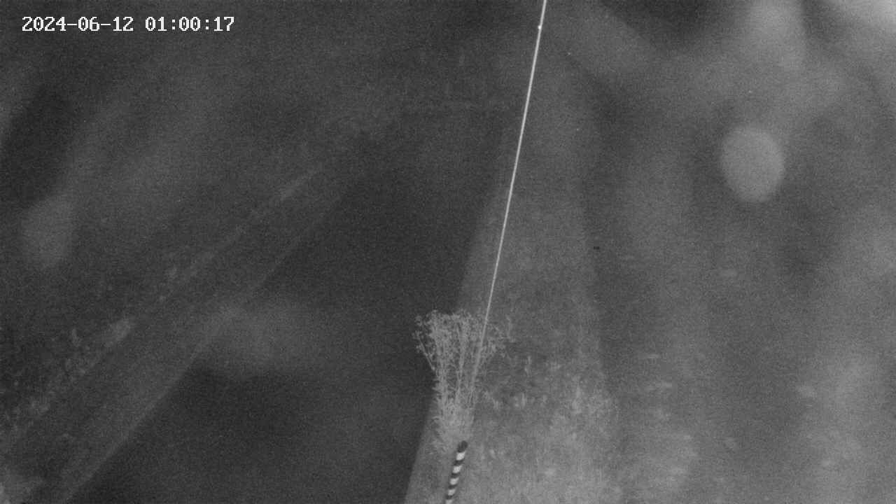 area9-20240612010017.jpg