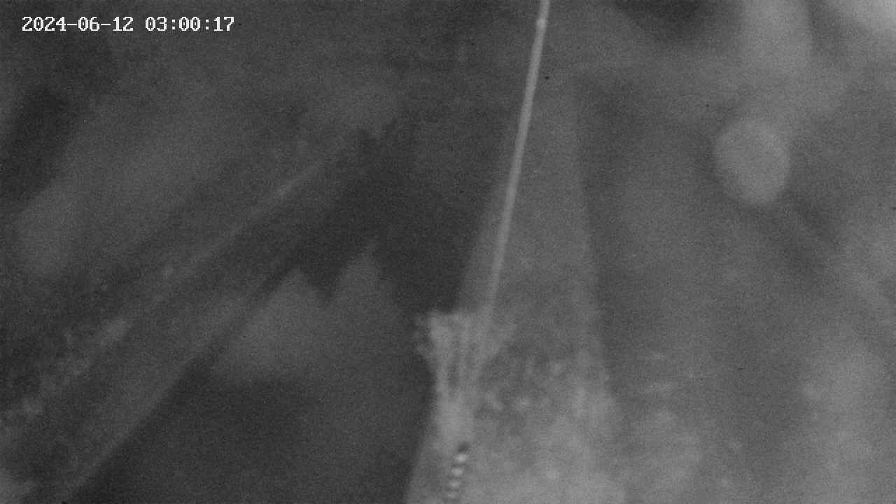 area9-20240612030017.jpg