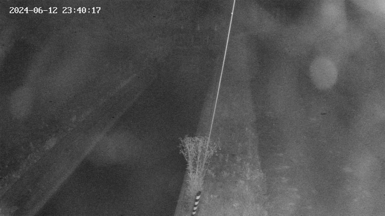 area9-20240612234018.jpg