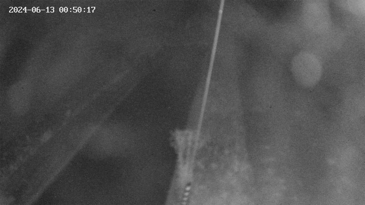 area9-20240613005018.jpg