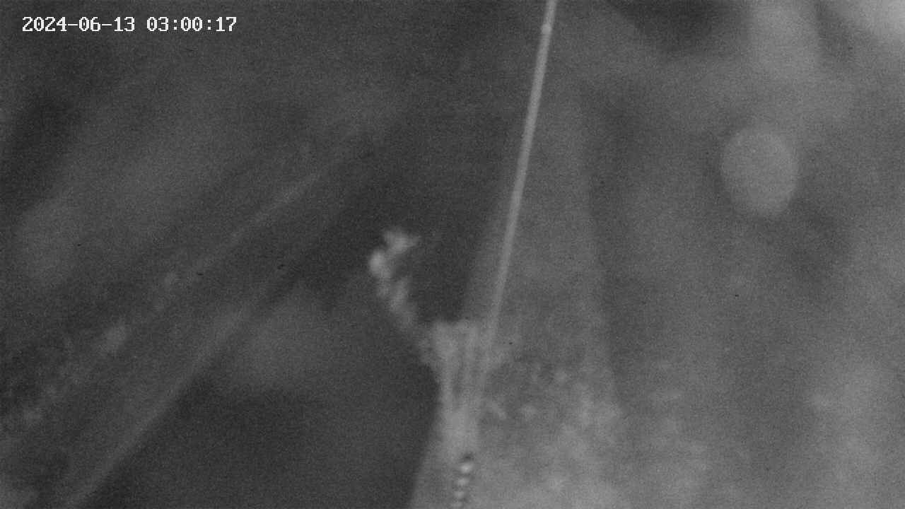 area9-20240613030018.jpg