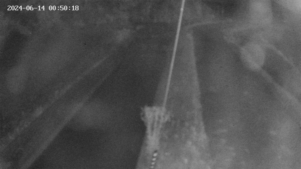 area9-20240614005018.jpg
