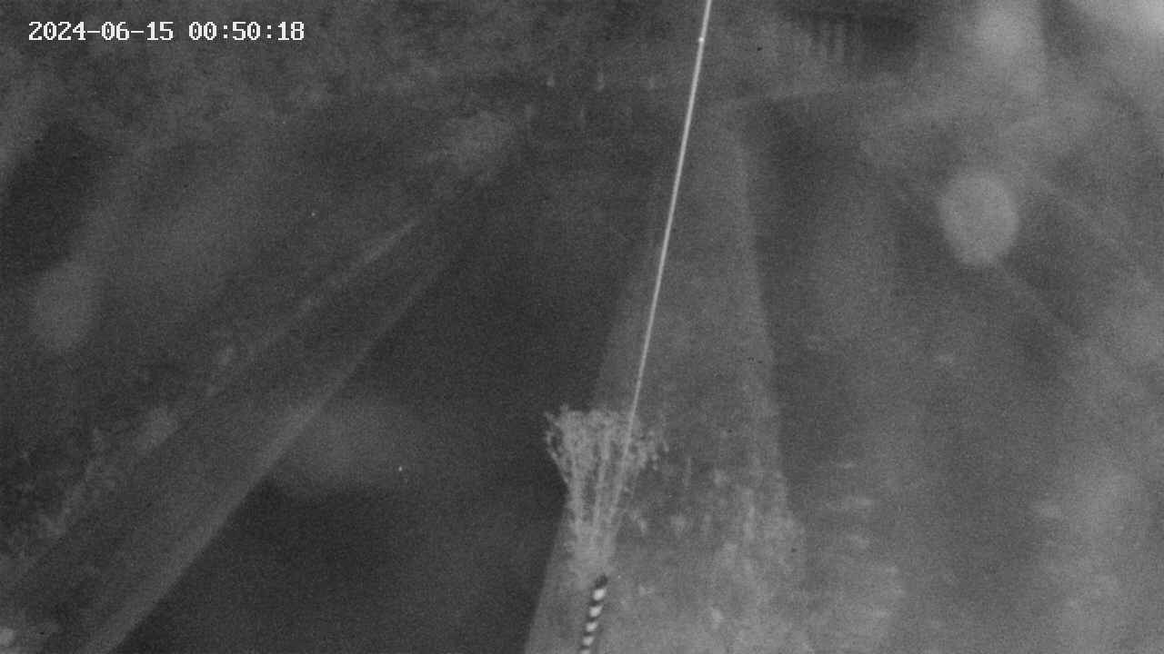 area9-20240615005018.jpg