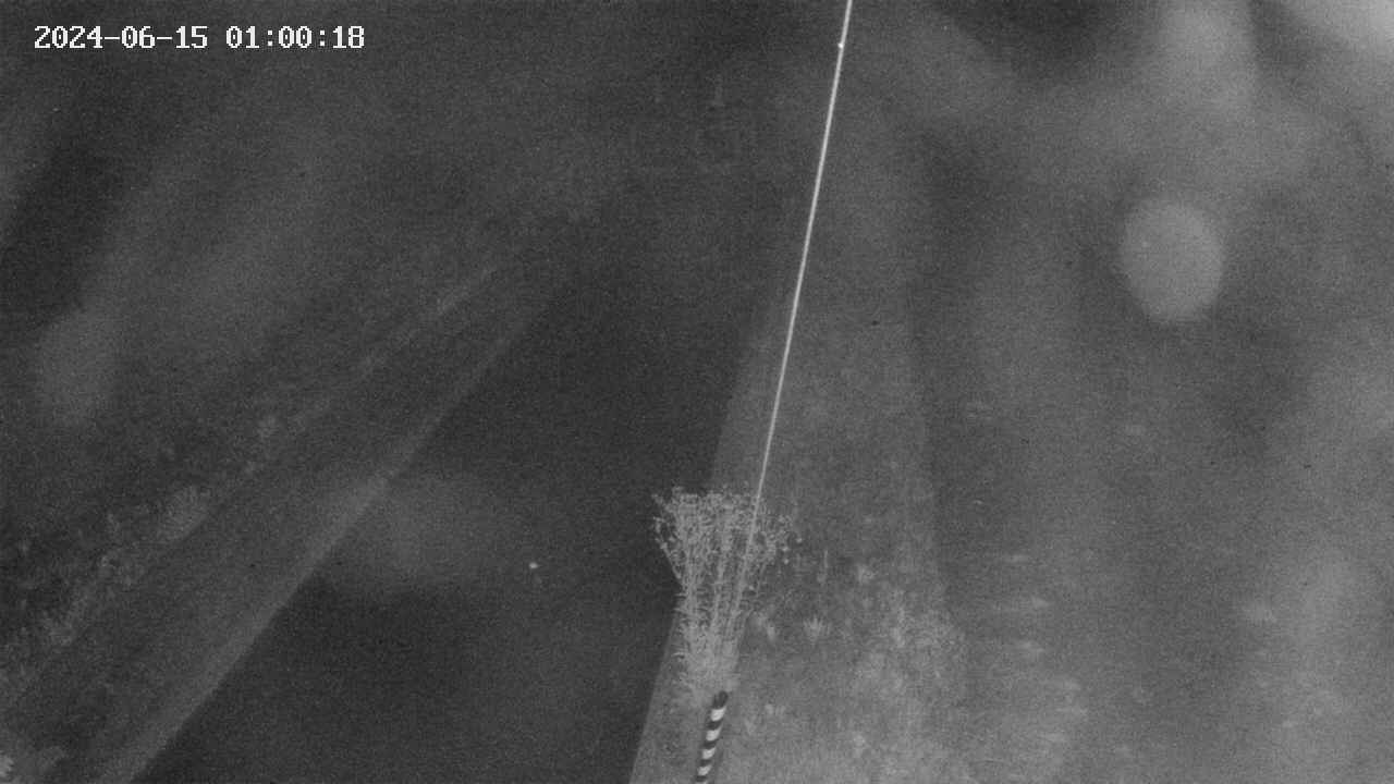 area9-20240615010019.jpg