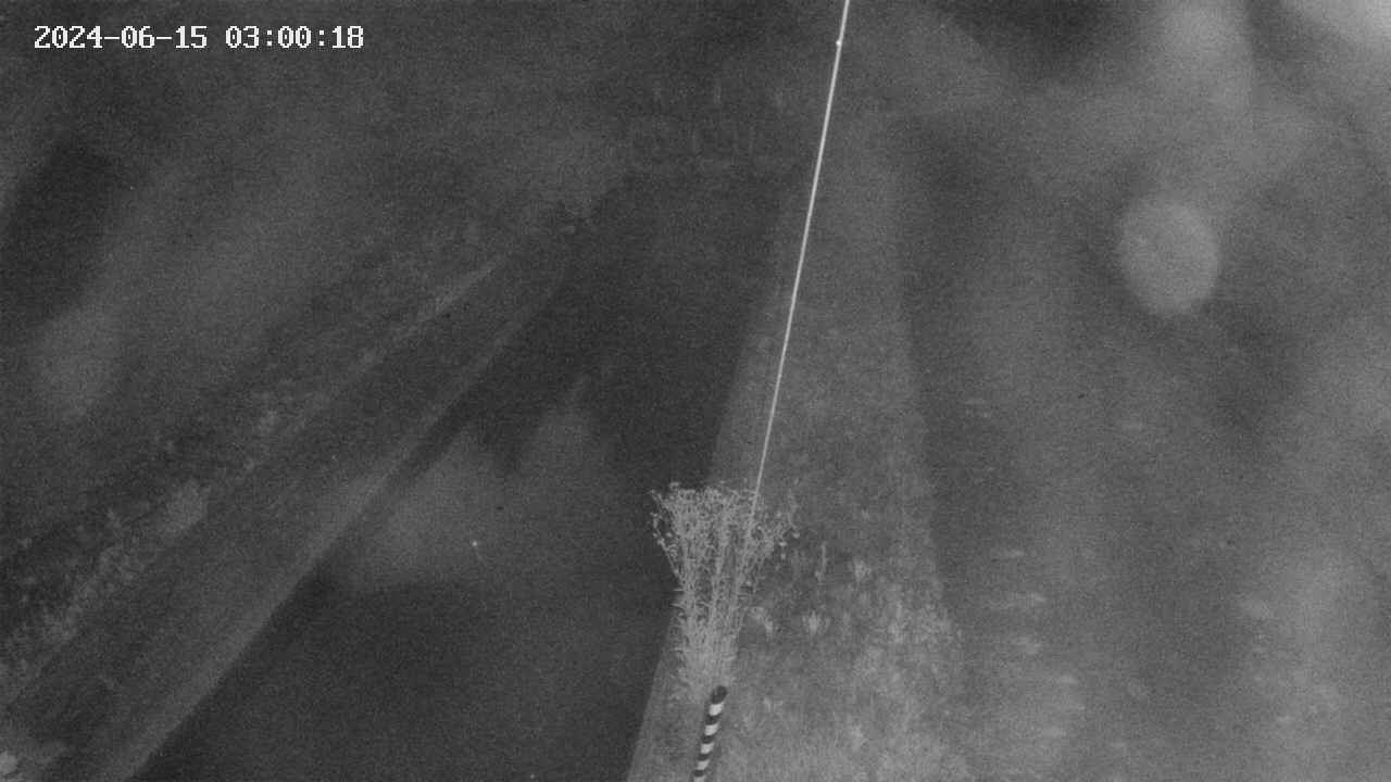 area9-20240615030018.jpg