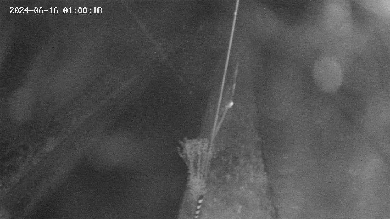 area9-20240616010019.jpg