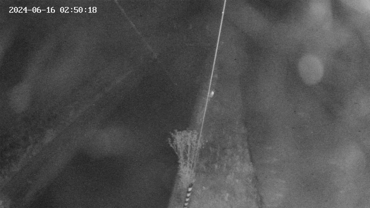 area9-20240616025018.jpg