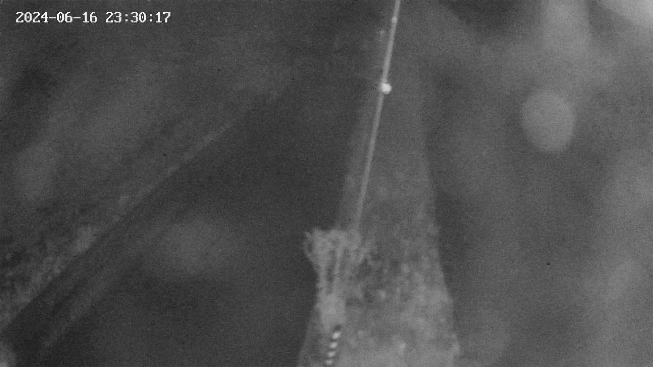area9-20240616233018.jpg