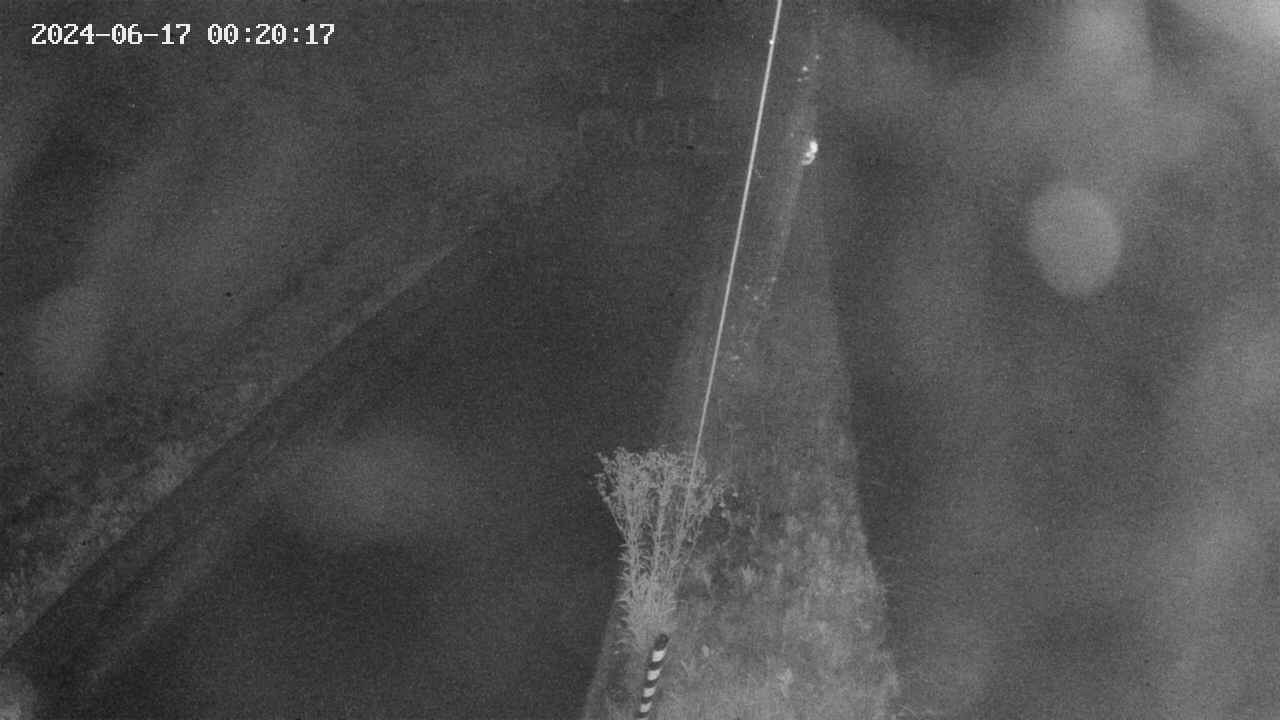 area9-20240617002017.jpg