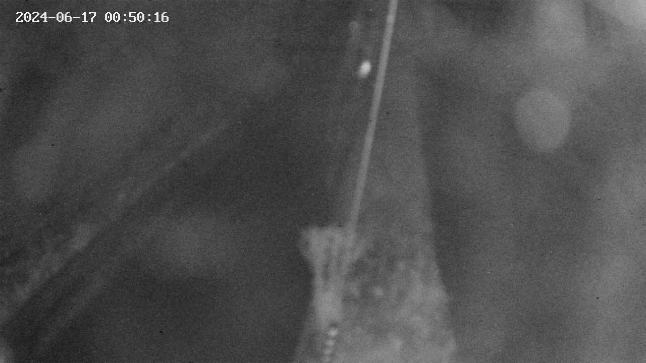 area9-20240617005017.jpg