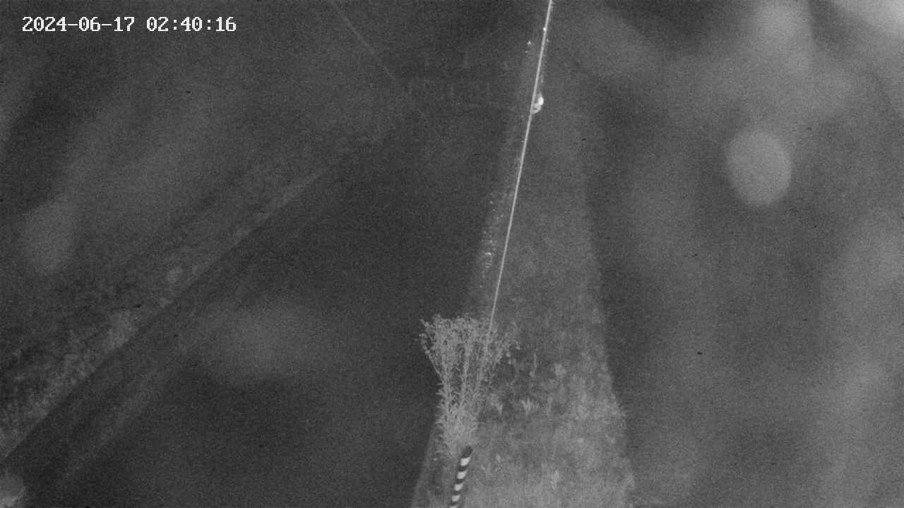 area9-20240617024017.jpg