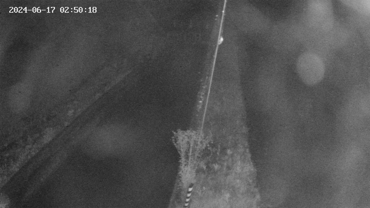 area9-20240617025018.jpg