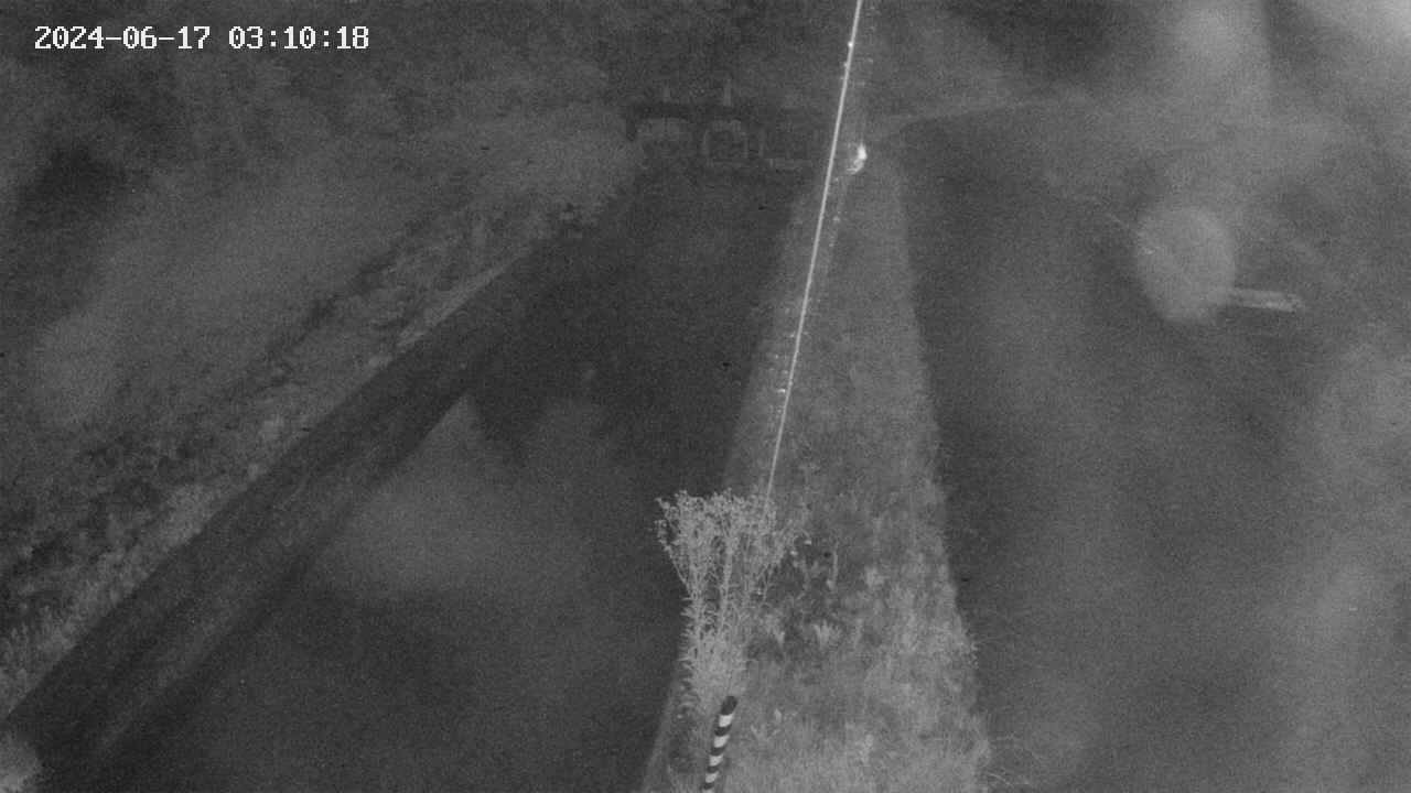 area9-20240617031019.jpg