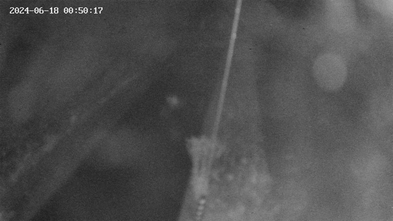 area9-20240618005018.jpg