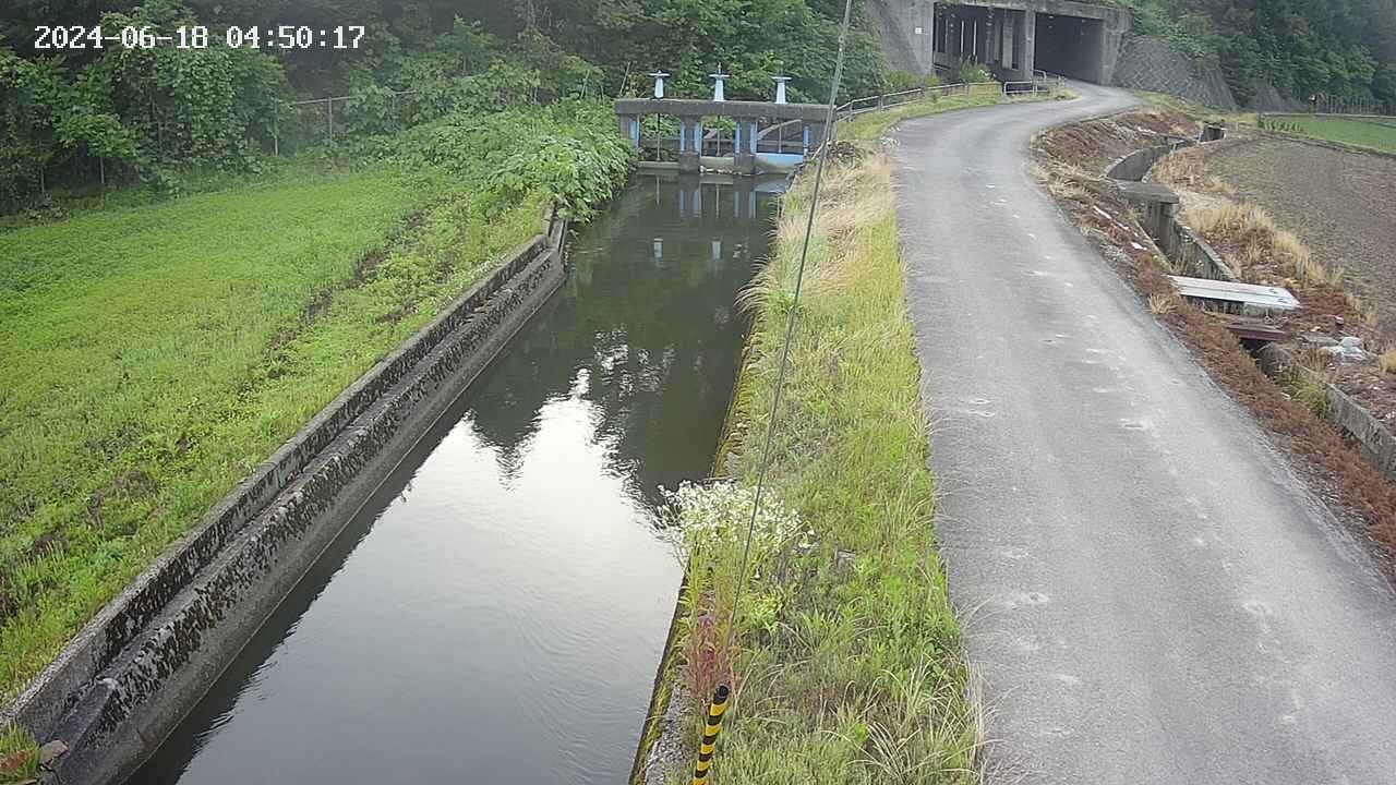 area9-20240618045018.jpg