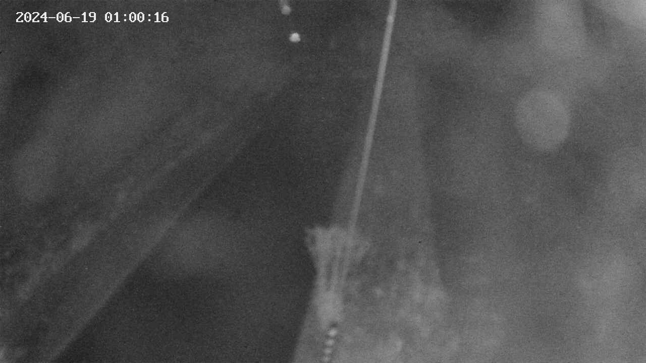 area9-20240619010017.jpg