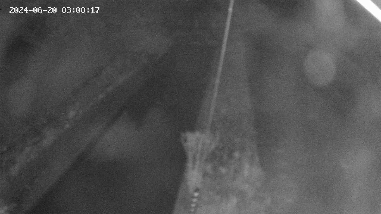 area9-20240620030018.jpg