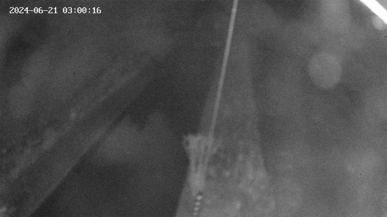 area9-20240621030017.jpg