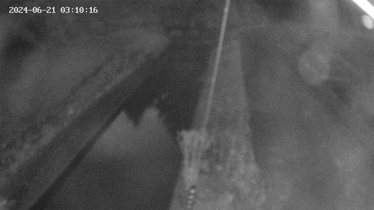 area9-20240621031017.jpg