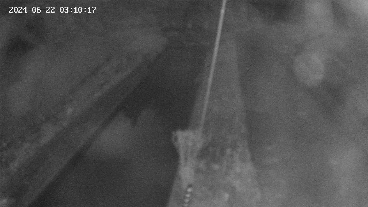 area9-20240622031017.jpg
