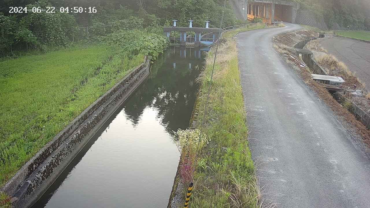 area9-20240622045017.jpg