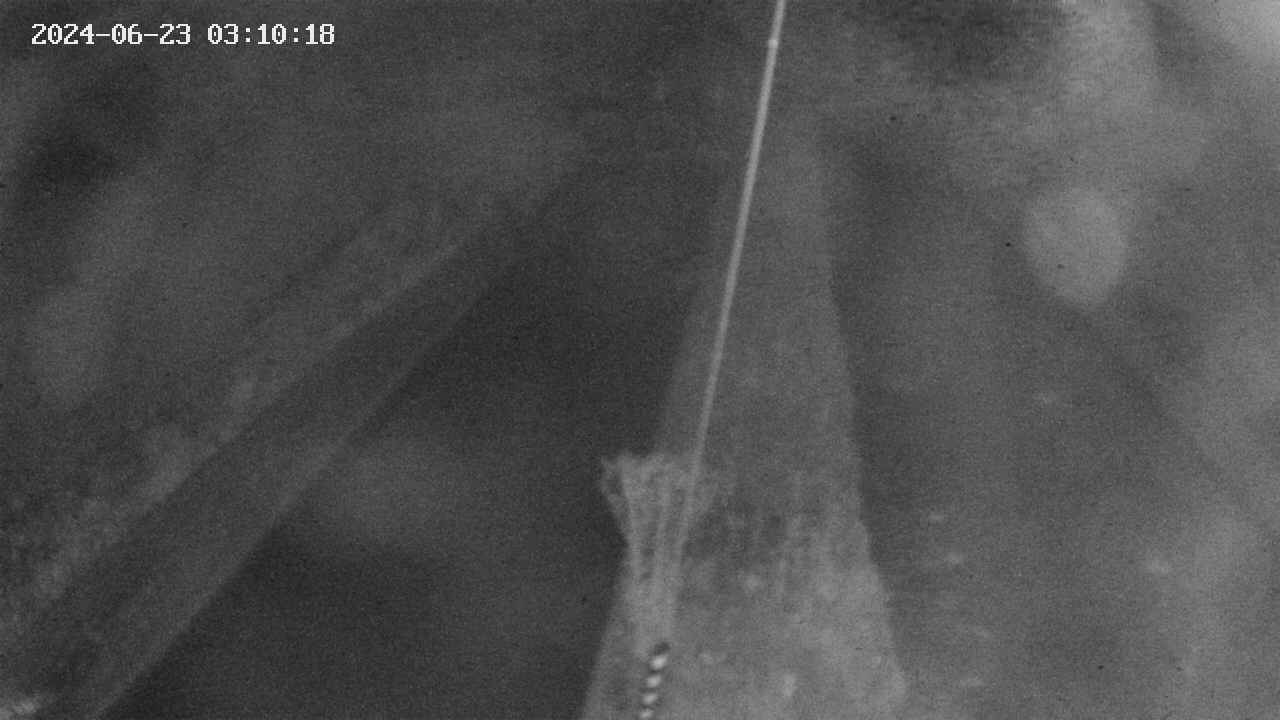 area9-20240623031019.jpg