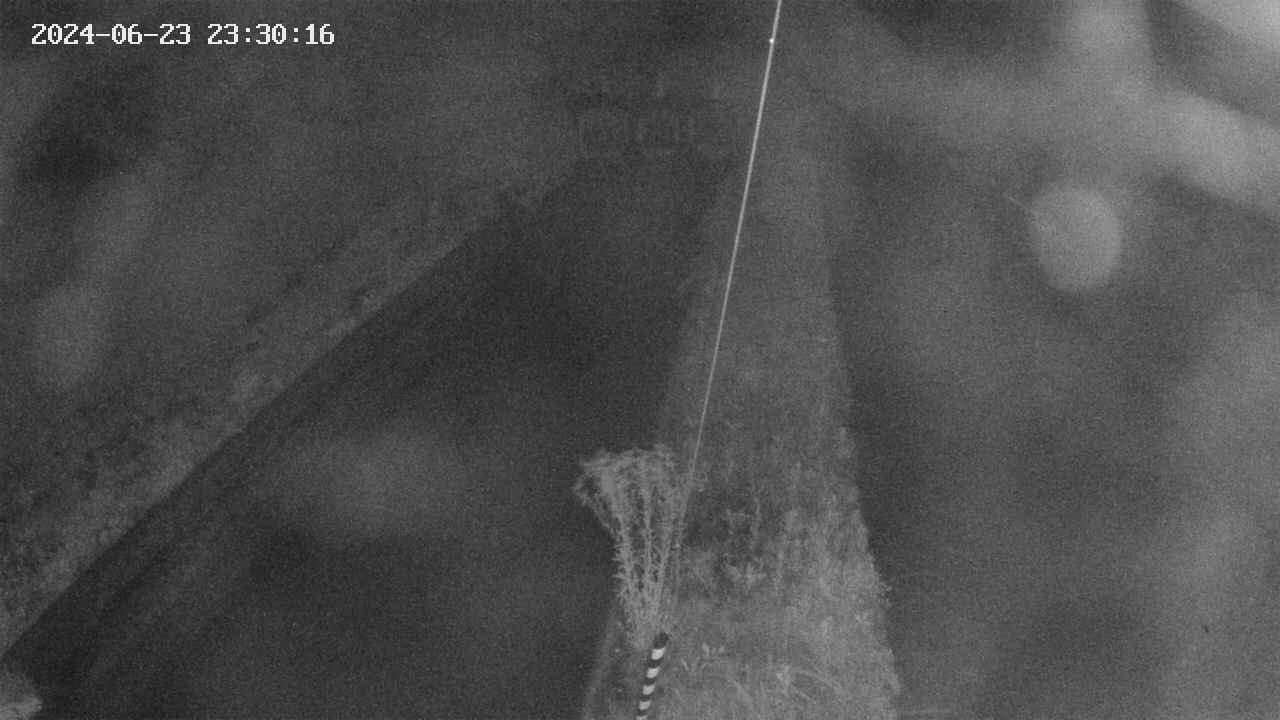area9-20240623233018.jpg