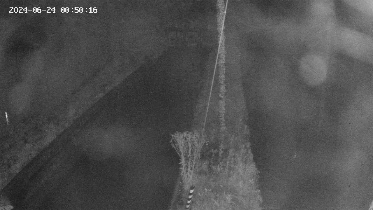 area9-20240624005018.jpg