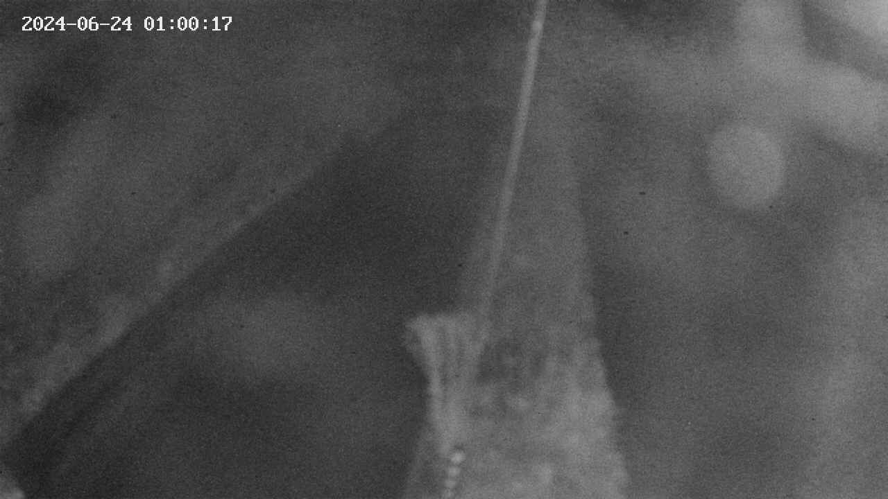 area9-20240624010018.jpg