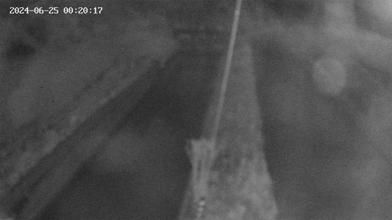 area9-20240625002018.jpg