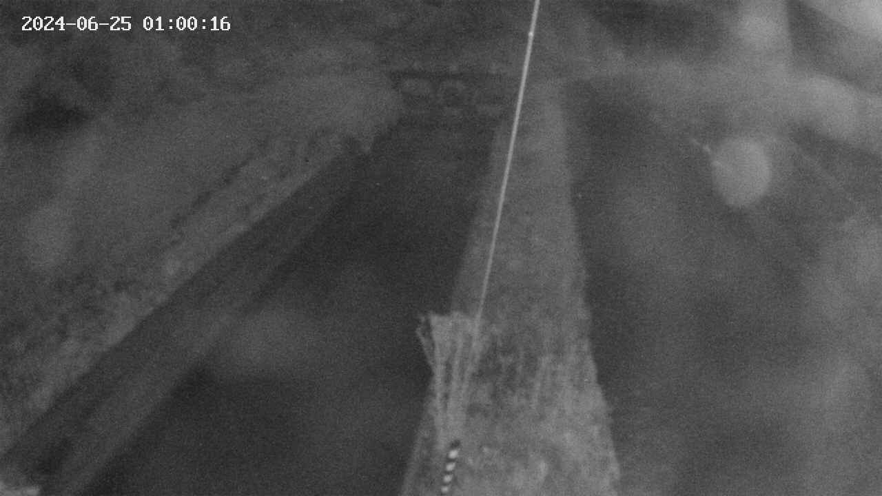 area9-20240625010017.jpg