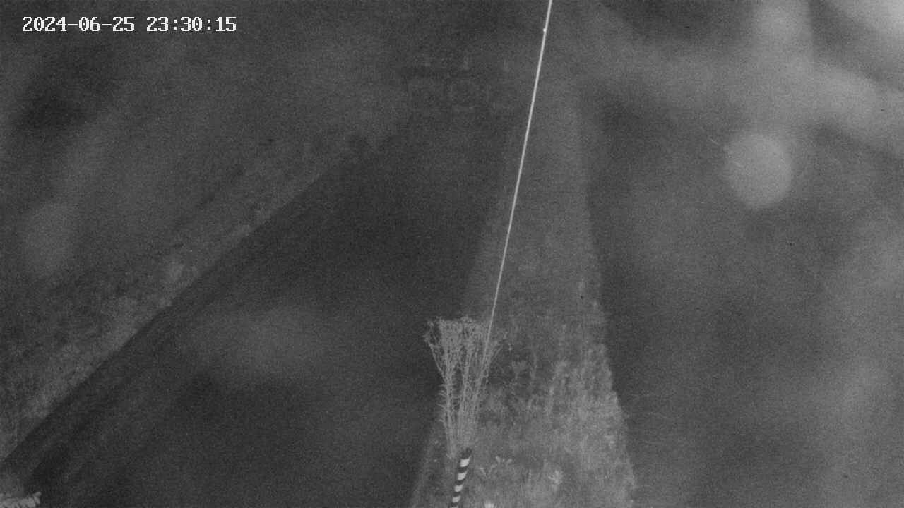 area9-20240625233017.jpg