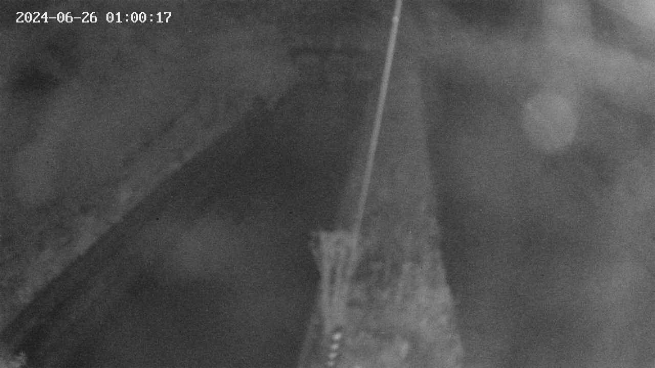 area9-20240626010018.jpg
