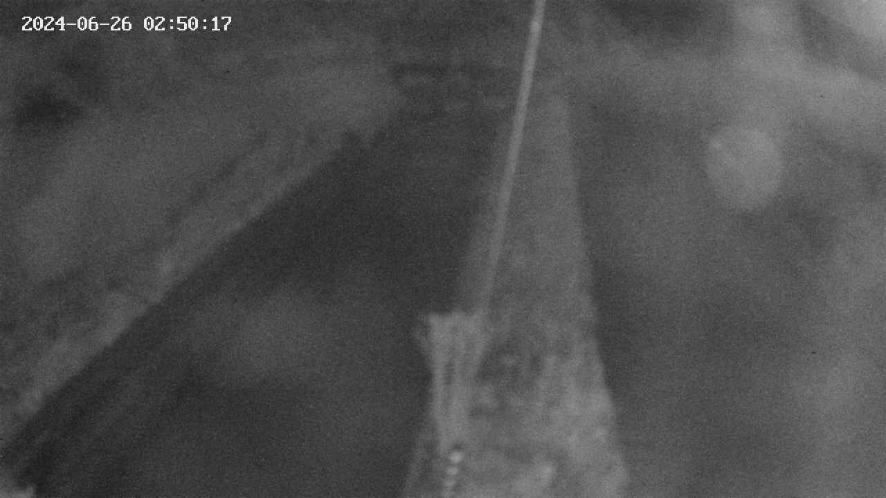 area9-20240626025019.jpg