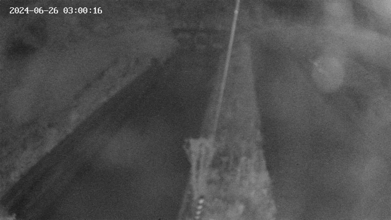 area9-20240626030018.jpg