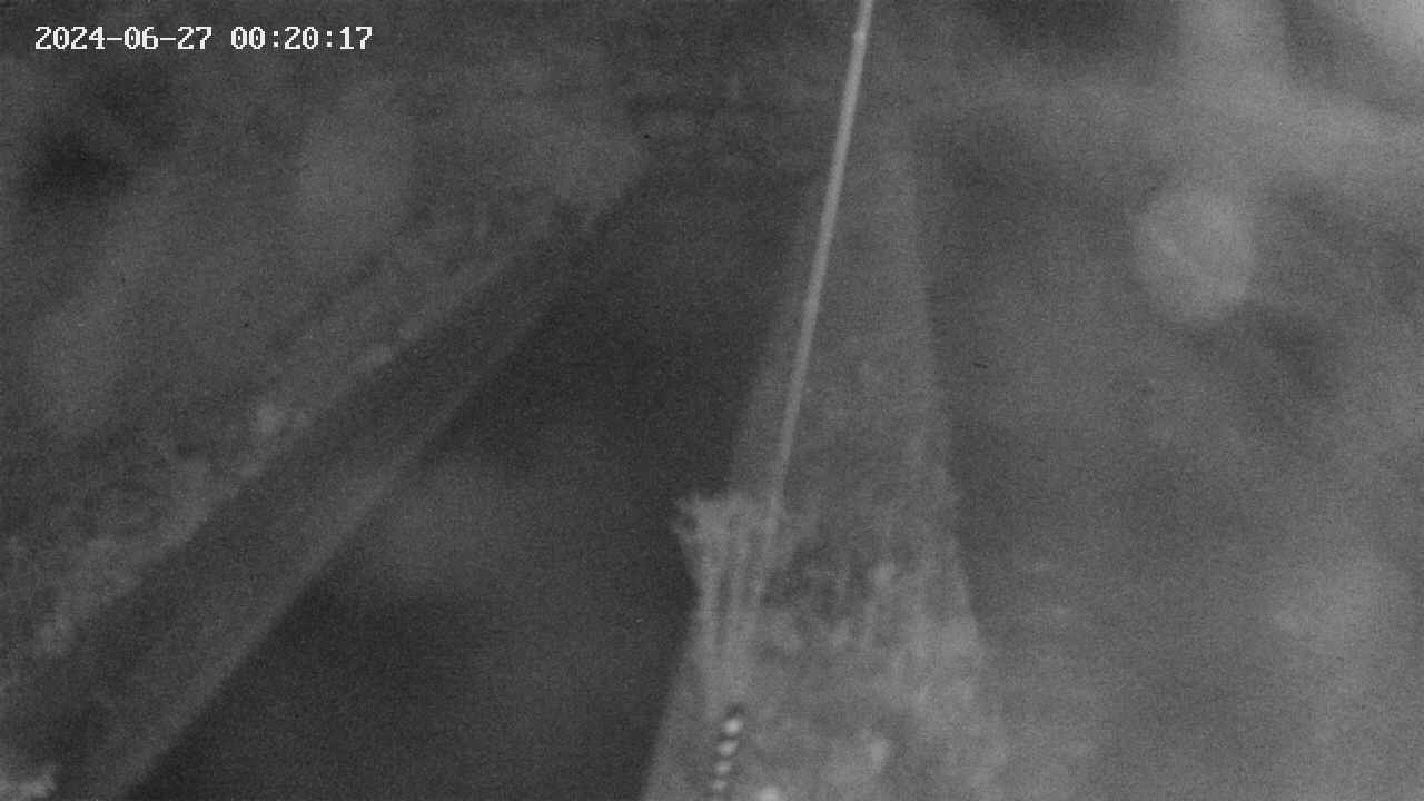 area9-20240627002018.jpg