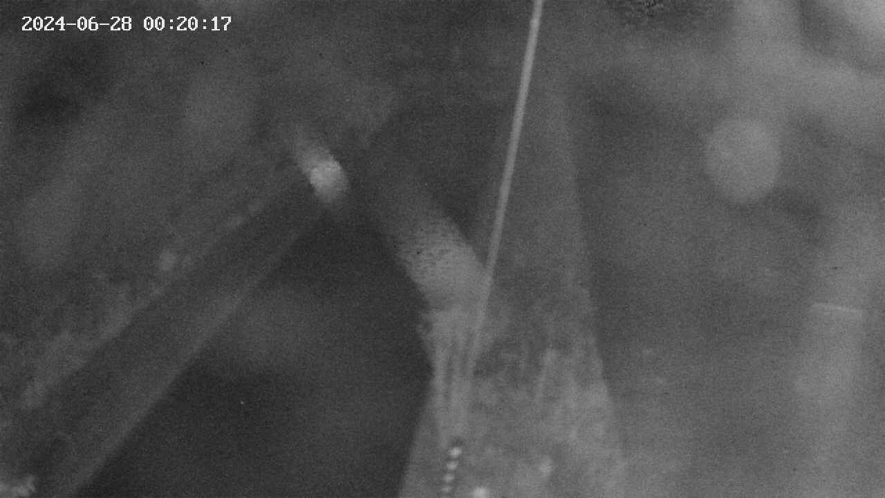 area9-20240628002018.jpg