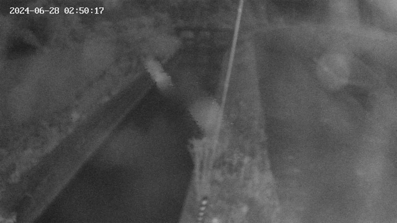 area9-20240628025018.jpg