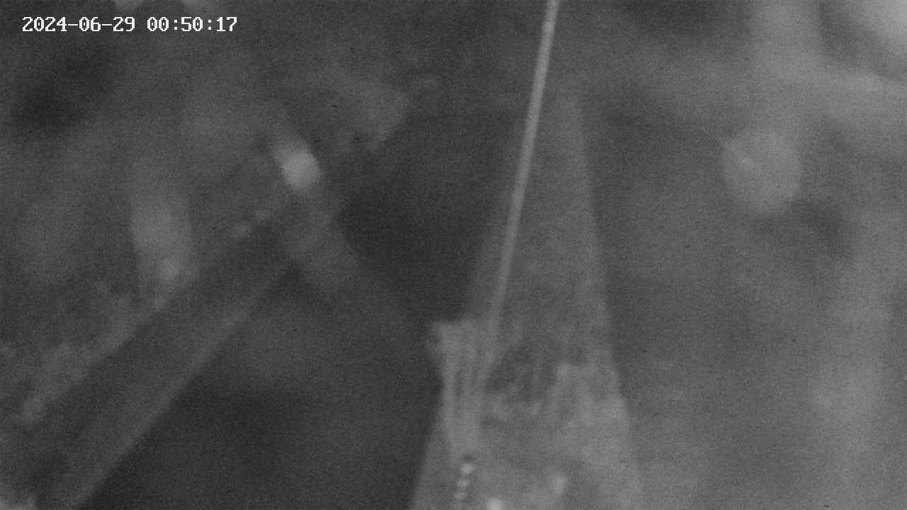 area9-20240629005018.jpg