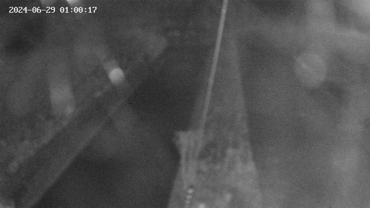 area9-20240629010018.jpg