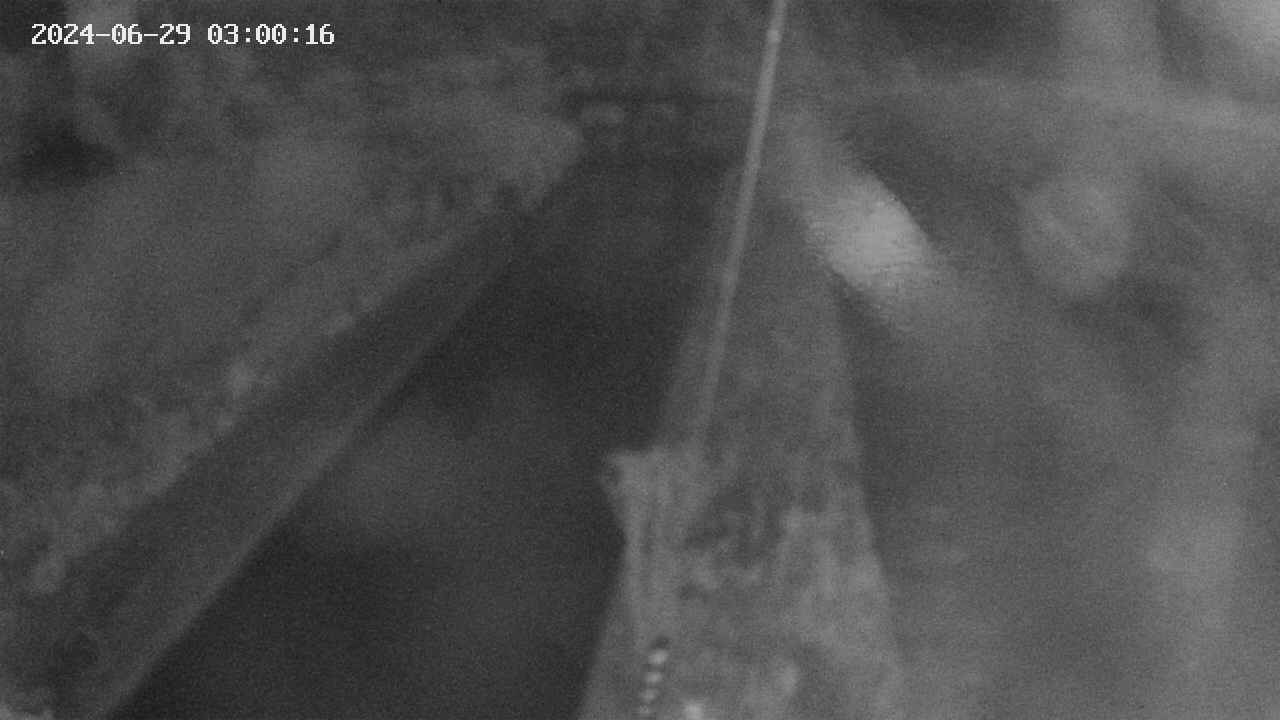 area9-20240629030017.jpg